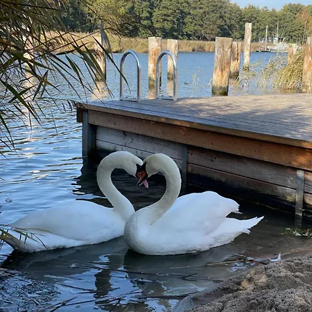 Seedorf Hideaway, Reethaus Mit Garten Und Privatsteg, Kamin, Sauna Und Hot Tub *